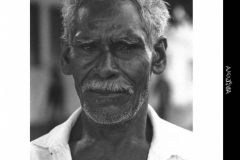 2005PinoBertelliAMAZONIA_Pagina_087