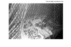 2005PinoBertelliAMAZONIA_Pagina_104