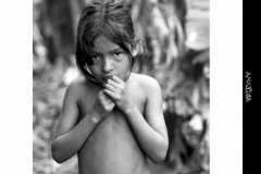 2005PinoBertelliAMAZONIA_Pagina_109