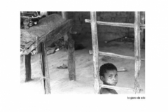 2005PinoBertelliAMAZONIA_Pagina_170