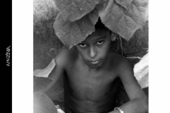 2005PinoBertelliAMAZONIA_Pagina_182