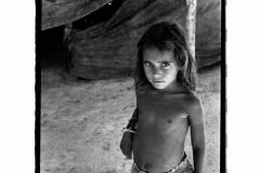 gli occhi delle stelle