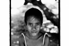 sotto gli alberi, di là dal fiume