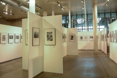 Ausstellungseröffnung Pino Bertelli - 010