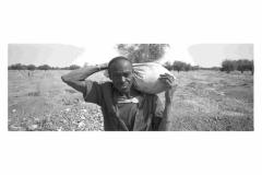 I cercatoridoro_Pagina_35