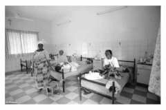 Laclinicadellaids_Pagina_28