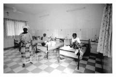 Laclinicadellaids_Pagina_29