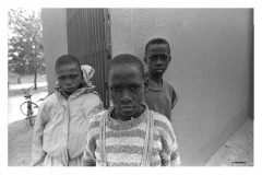 Laclinicadellaids_Pagina_47