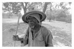 Laclinicadellaids_Pagina_48