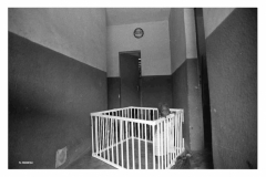 Laclinicadellaids_Pagina_52